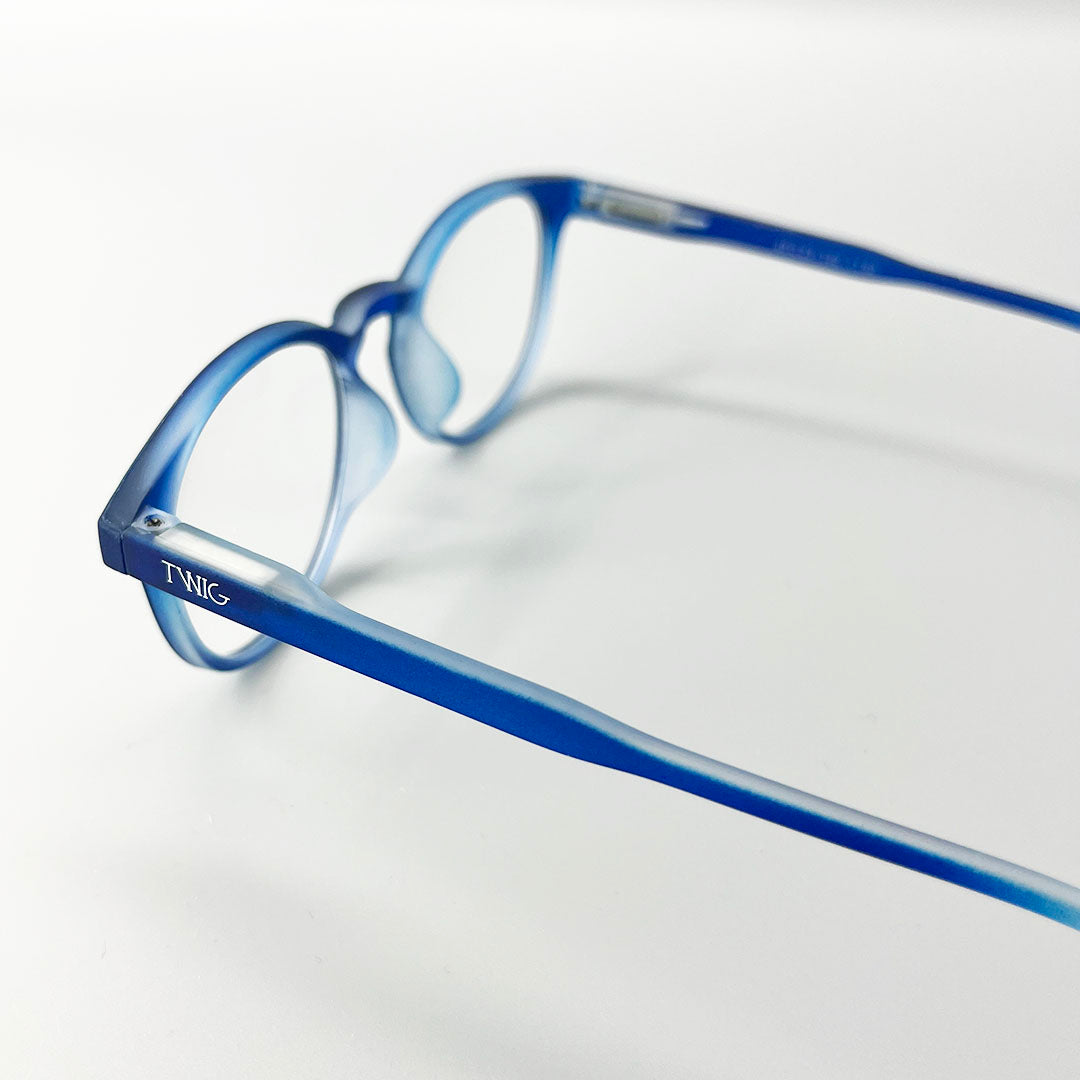 Blue Twig reading glasses